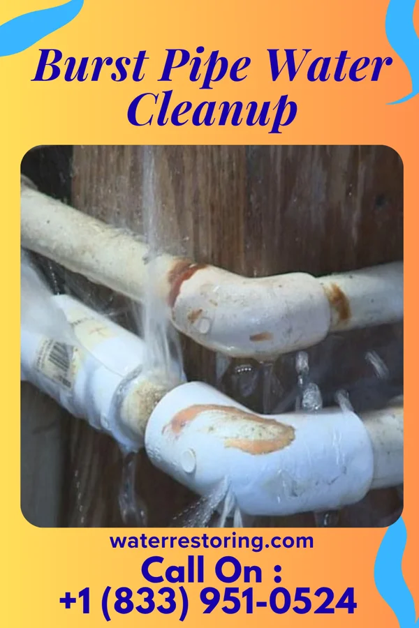 Burst Pipe Water Cleanup in Worth, IL