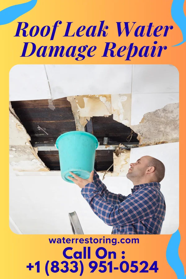 Roof Leak Water Damage Repair in Worth, IL
