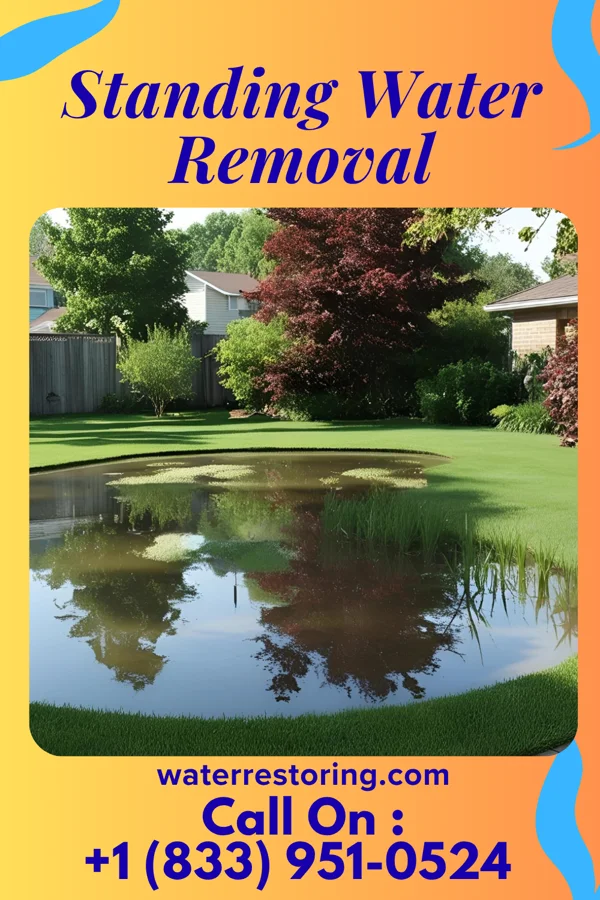 Standing Water Removal in Worth, IL